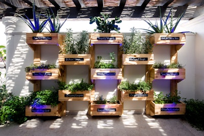 spa-window-boxes