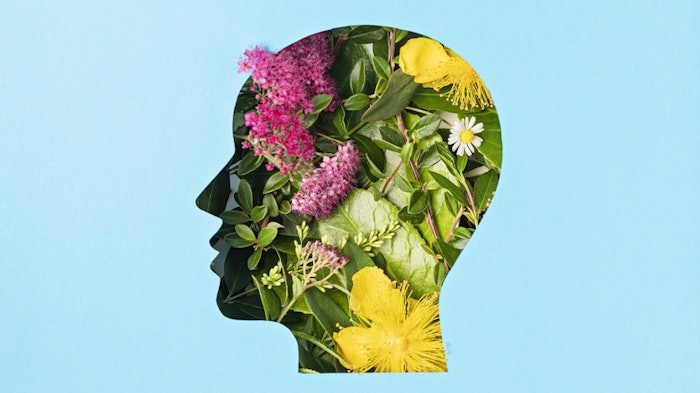 health concept: a silhouette of a face full of flowers