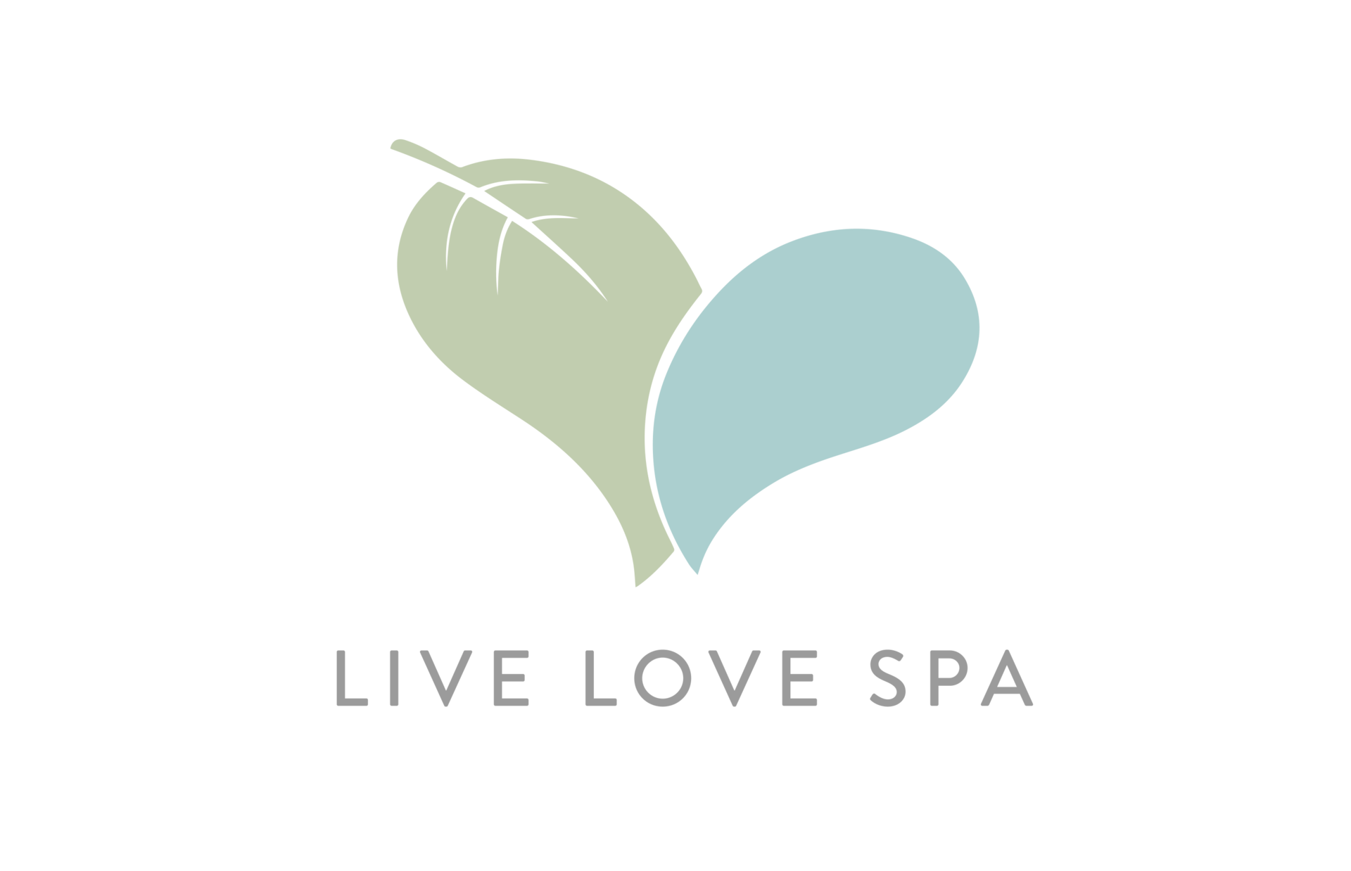 Live Love Spa Announces Heal Together Virtual Summit Wellspa 360
