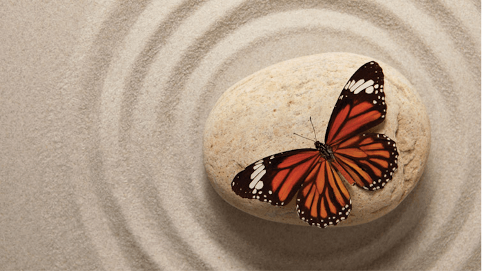 Ws2112 Backto Basics Self Care 850x425