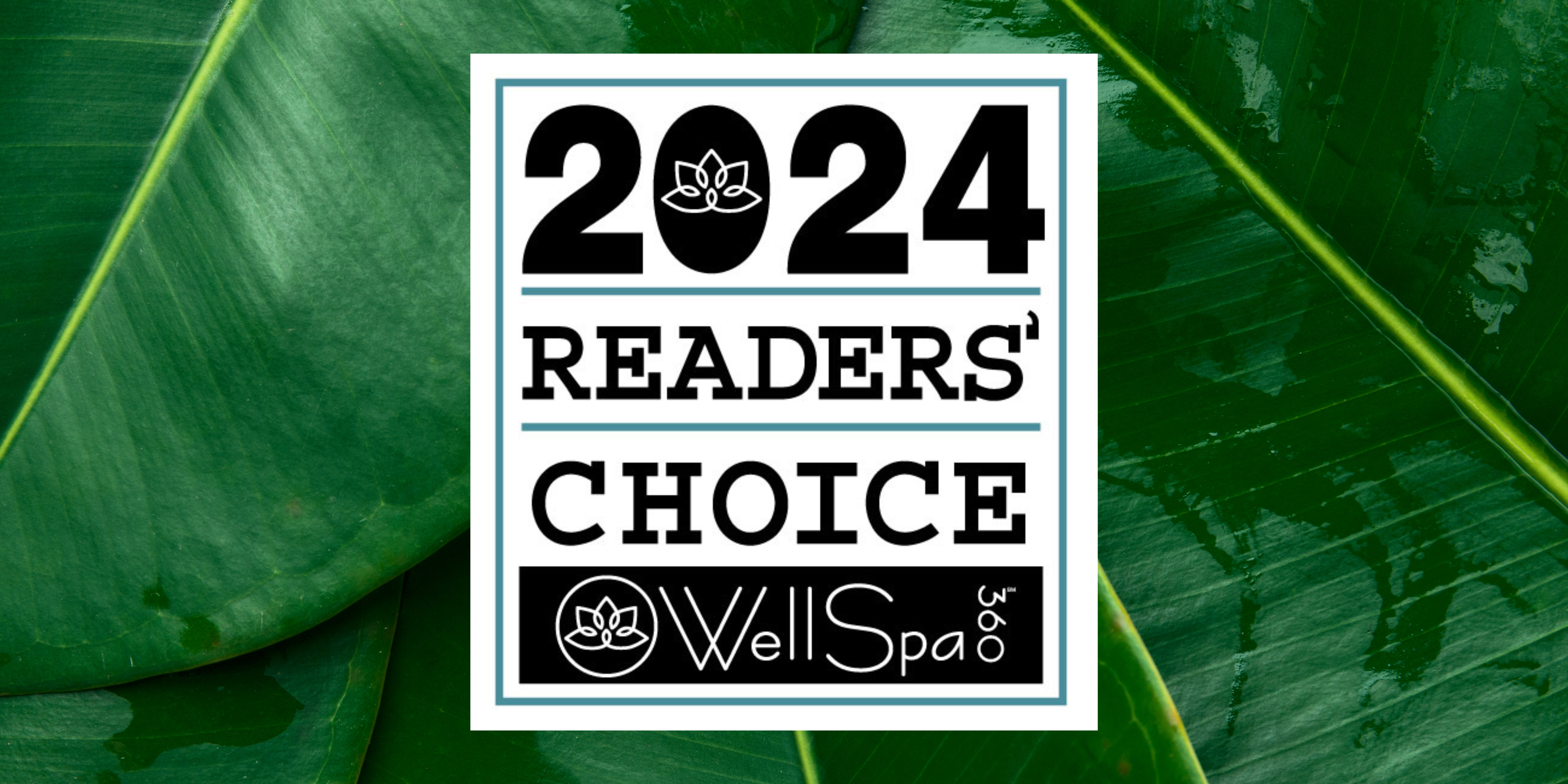 www.wellspa360.com